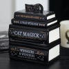12 aroma lampa black cat magick